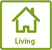 Everyday items Misonobashi